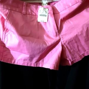 Shorts JCrew